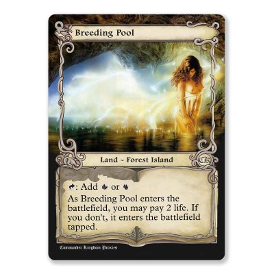 Breeding Pool | Adventure Custom MTG Proxy Card